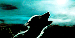 Remus Lupin Howling Wolf GIF