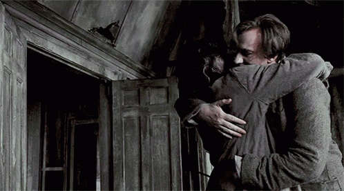 Remus Lupin Hug GIF