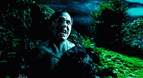 Remus Lupin Transforming To Wolf GIF