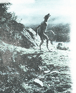 Remus Lupin Werewolf GIF