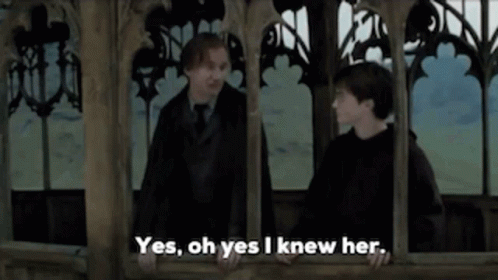 Remus Lupin Yes I Knew Her GIF