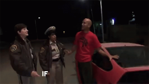 Reno911 Wasnt Me GIF
