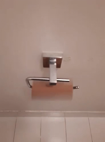 Replace The Empty Toilet Paper GIF