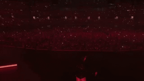 Reputation Tour Taylor Highights GIF