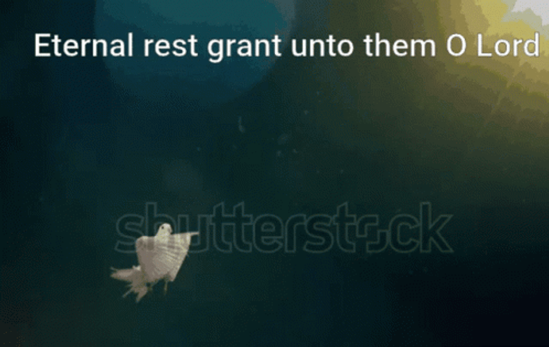 Rest In Peace Eternal Rest Grant Unto Them O Lord GIF