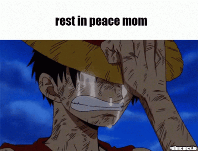 Rest In Peace Mom Luffy Crying Rip GIF