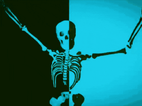 Retro Dancing Skeleton Meme GIF