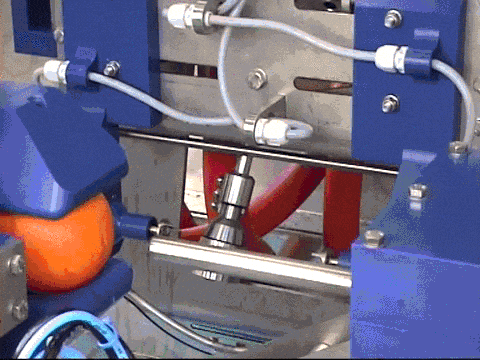 Reversed Orange Peeling Machine GIF