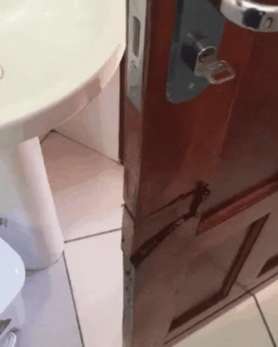 Revolving Door Break Toilet Sink GIF