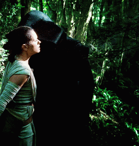 Reylo Rey And Kylo Deleted Scene GIF