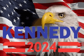 Rfk American 2024 Peace GIF