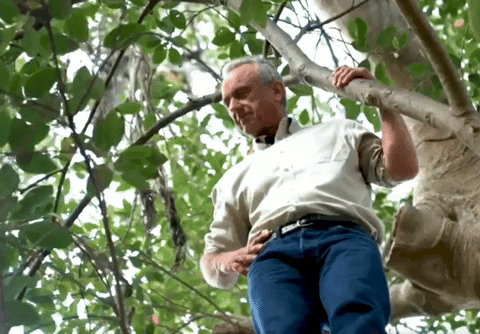 Rfk The Best Environment GIF