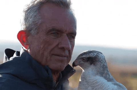 Rfk With His Bird Pet GIF