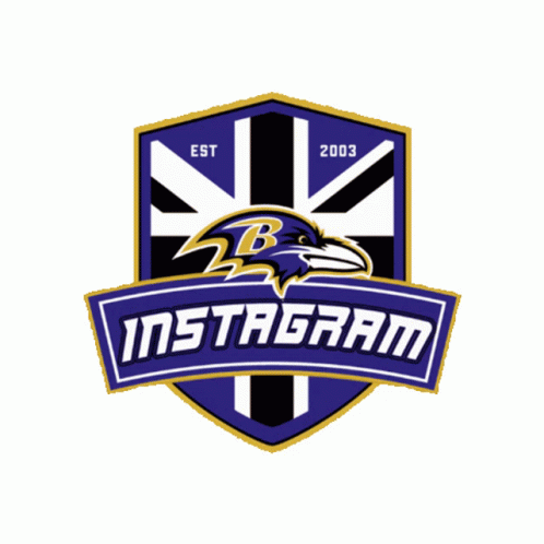 Rg3 Play For Baltimore Ravens GIF