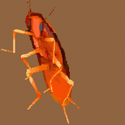 Rgb Roach Dancing Cockroach GIF