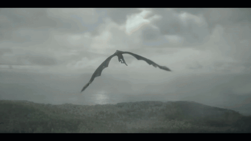 Rhaenys' Nephew Aemond Dragon Fight GIF