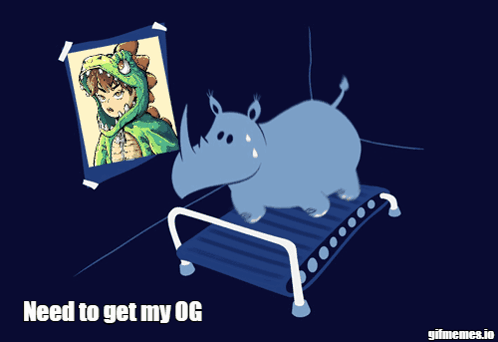 Rhino On Treadmill Need To Get My OG GIF