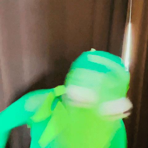 Rhylee Passfield Kermit Dancing GIF