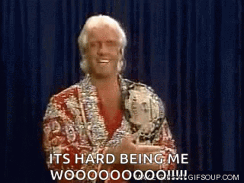 Ric Flair Champion GIF