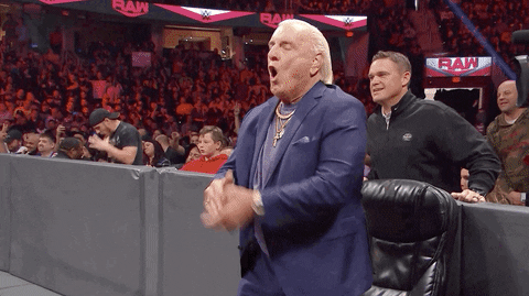 Ric Flair Iconic Wooo GIF