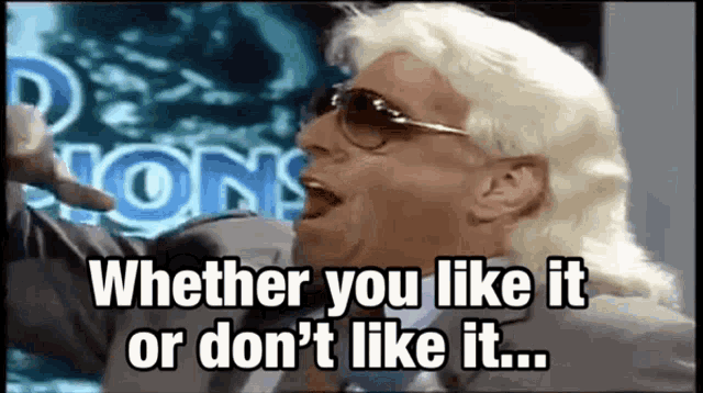 Ric Flair Learn To Love It GIF