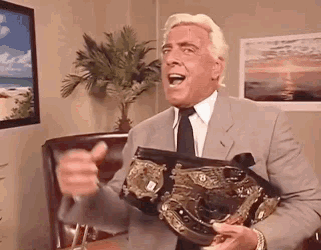 Ric Flair Let The Party Begin GIF