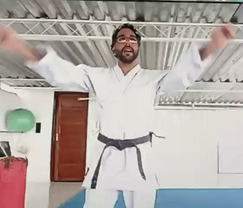 Ricardo Karate Cesarschool GIF