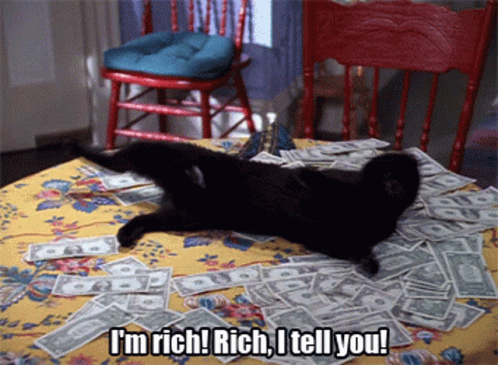 Rich Black Cat Rolling In Money GIF