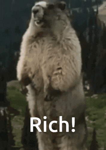 Richtech Shout Gif GIF