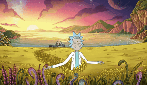 Rick and Morty in Field at Sunset