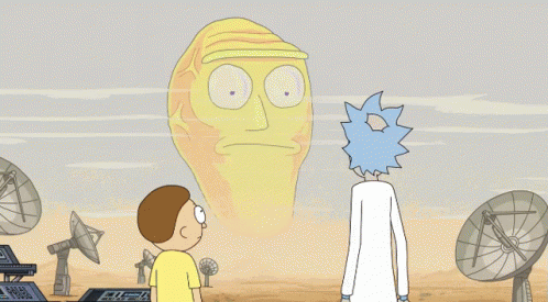 Rick And Morty What You Got GIF