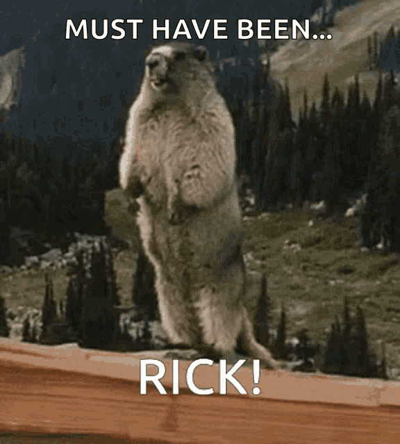 Rick Marmot Gif GIF