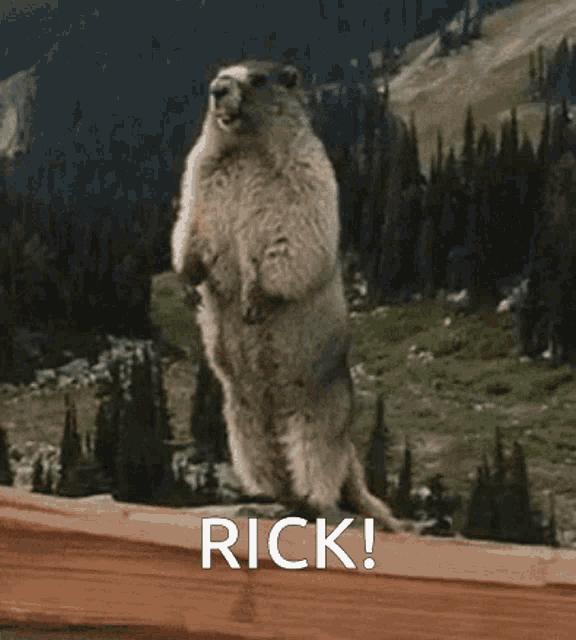Rick Marmot Scream Gif GIF