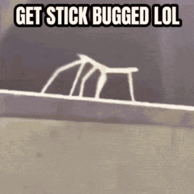 Rick Roll Stick Bug GIF