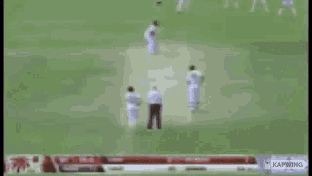 Rickroll Rick Astley Cricket Bat GIF