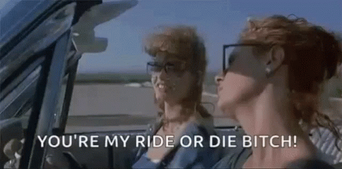 Ride Or Die Driving Car Bitch GIF