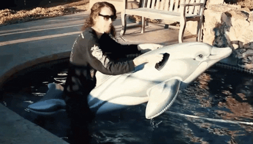 Riding An   Inflatable Dolphin  GIF