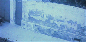 Riding Squeal Like A Pig GIF