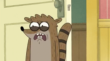 Rigby Disgust GIF