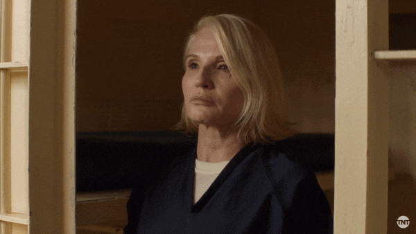Right To Jail Ellen Barkin GIF