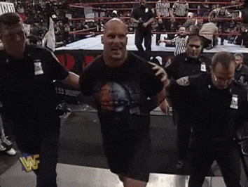 Right To Jail Wwe Wrestling GIF