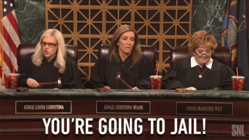 Right To Jail Youre Going To Jail Judges GIF