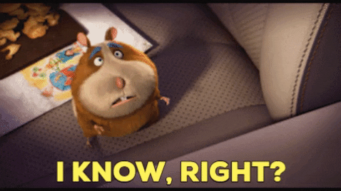 Riiiight Animal Crackers Movie GIF