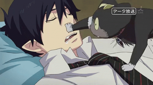Cat Waking Up Rin Okumura GIF
