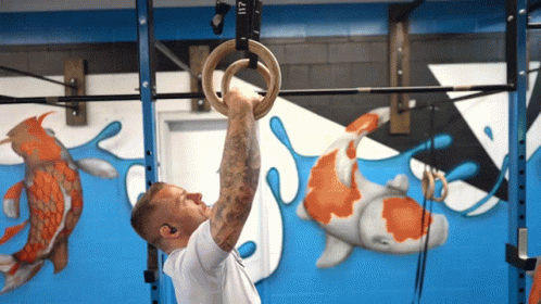 Ring Pull Ups GIF