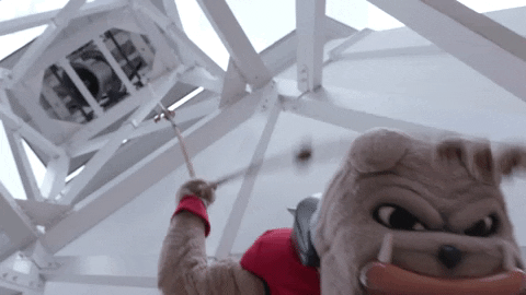 Ring The Bell Up There GIF