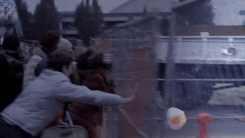 Riot Broke On The Fence GIF