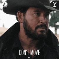Rip Yellowstone Don't Move GIF
