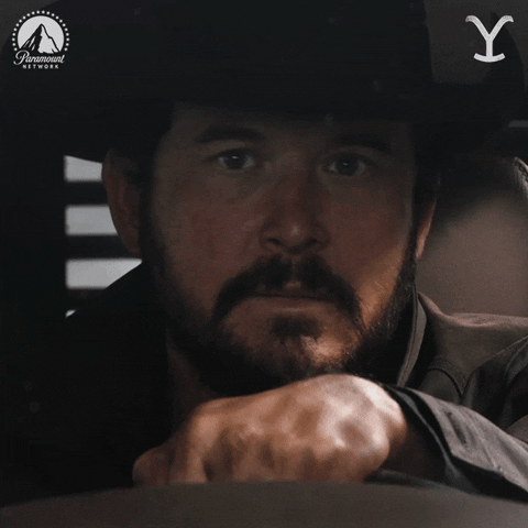 Rip Yellowstone Driving GIF