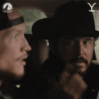 Rip Yellowstone Pointing His Head GIF